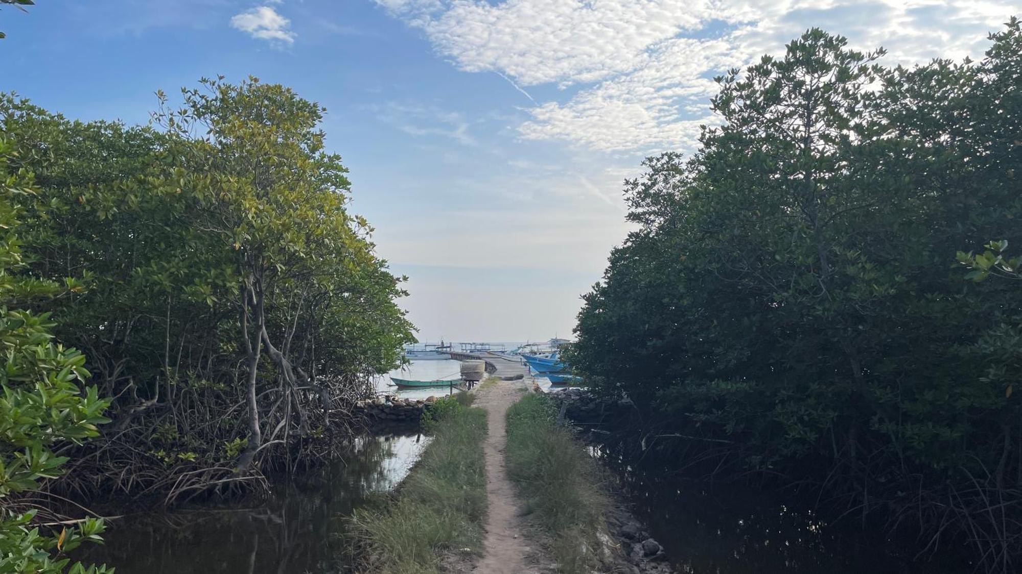 Mangrove Inn Каримунджава Екстериор снимка