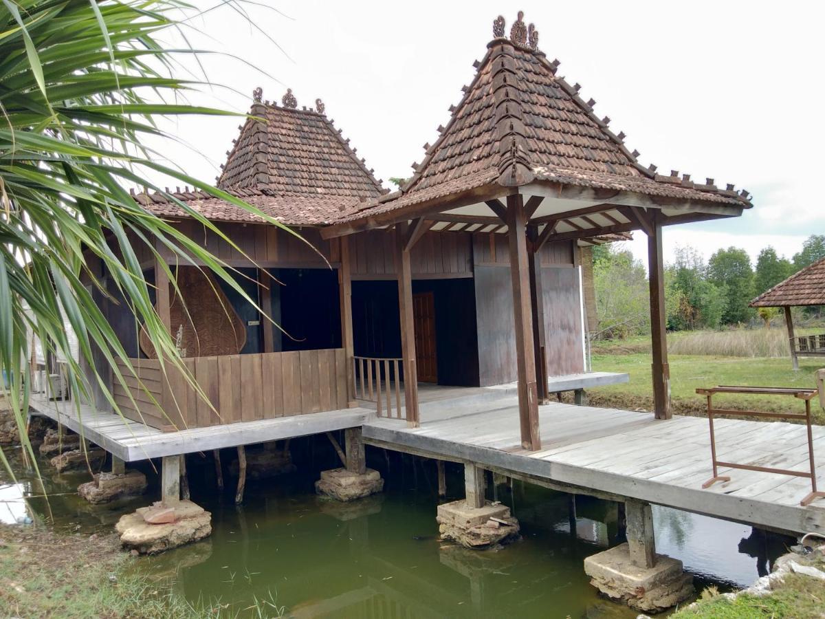 Mangrove Inn Каримунджава Екстериор снимка